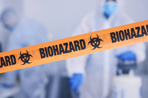 Professional Sewage Cleanup technician working in Flat Rock, NC